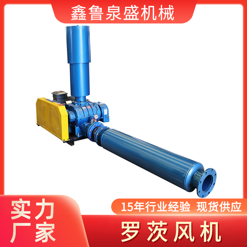 罗茨江南（中国）官方漏油的原因有哪些？